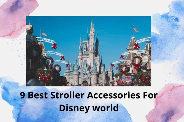 Best-Stroller-Accessories-For-Disney-world